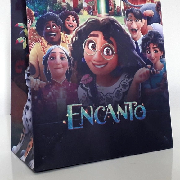 15 Sacolinha Encanto para Lembrancinha de Aniversário