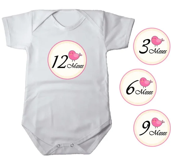 Kit de Adesivo Mêsversário Passaro