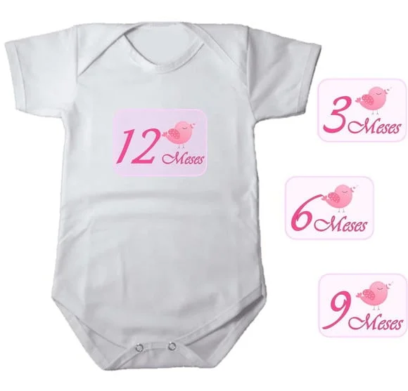 Kit de Adesivo Mêsversário Passaro