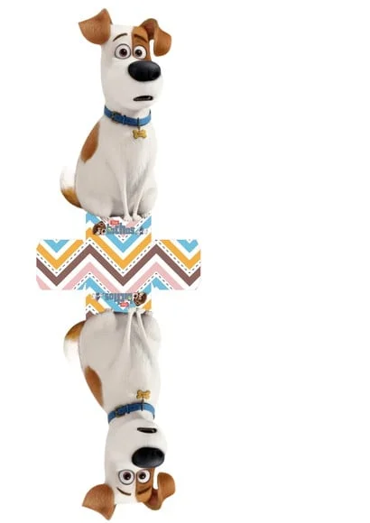 ARQUIVO CAIXA SILHOUETTE PETS LUXO