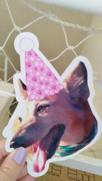 Bandeirola Festa Pet com Foto e Chapeuzinho