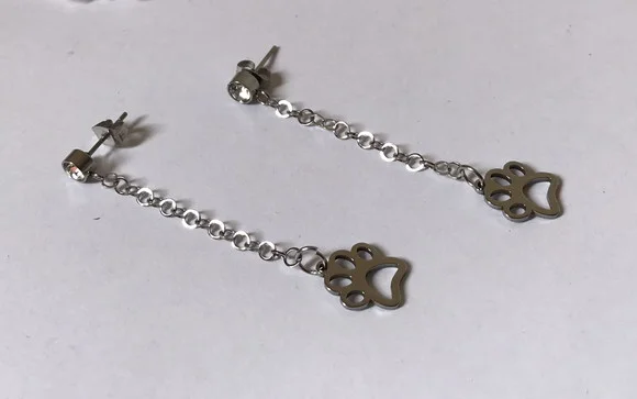 Brinco Aço Inox com Strass e Patinha Pet