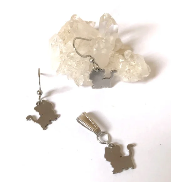 Conjunto Brincos e Pingente em Aço Inox Gatinho Mini