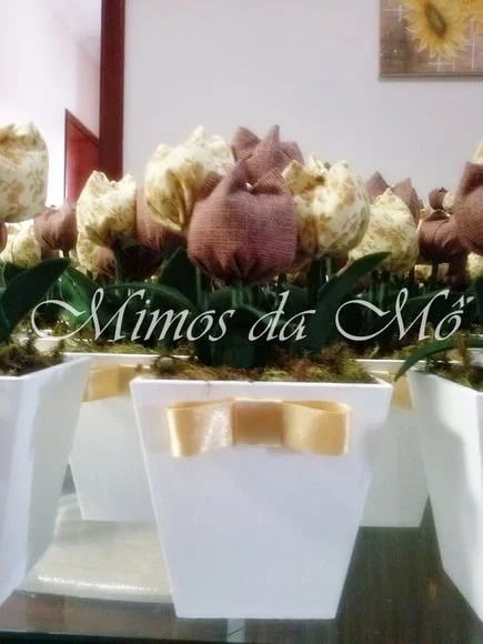 Cachepos de Tulipas