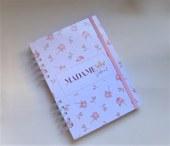 Caderno de Fluxo de Caixa Mensal (entradas e Saídas)