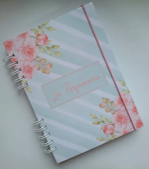 Caderno de Fluxo de Caixa Mensal (entradas e Saídas)