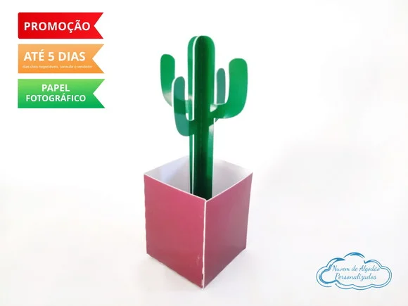 Caixa cacto 3D