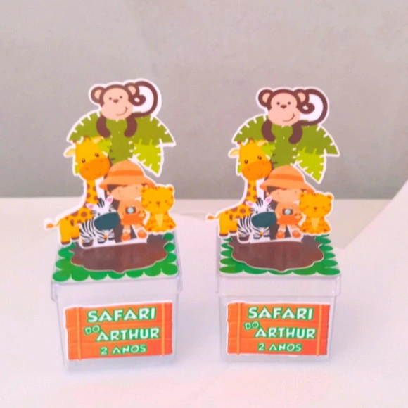 Caixinha Acrílica Safari