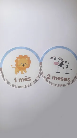 Kit Adesivo Mesversário Arca de Noé