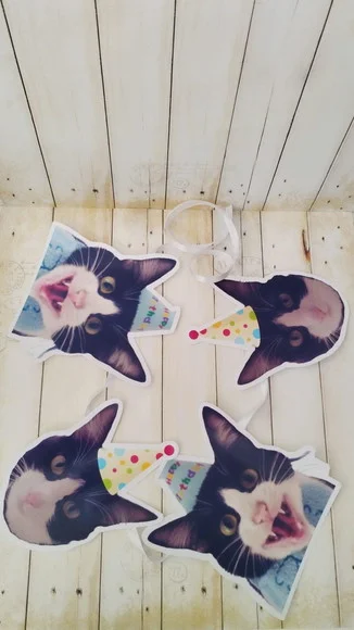 Kit Bandeirola com Foto e Chapeuzinho Gato