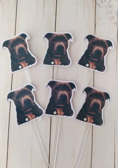 Topper para Docinhos Pet Cachorro com Foto