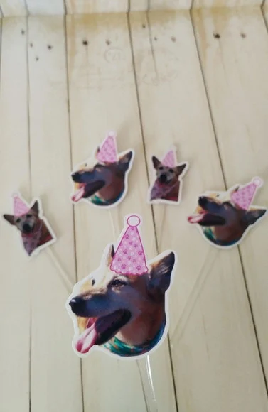 Topper para Docinhos Pet Cachorro com Foto e Chapeuzinho 30u
