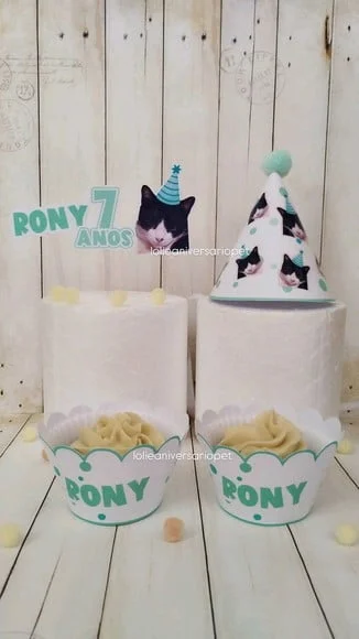 Kit Cupcake e Chapeuzinho Aniversário Gato