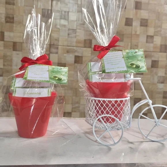 Kit Ecologico Com Bicicleta Casamento