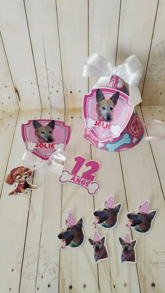 Kit Festa Aniversário Pet Toppers e Chapeuzinho Skye