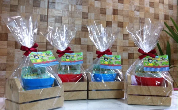 Kit Jardinagem Caixote Branca De Neve