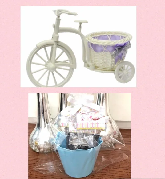Kit Jardinagem Com Bicicleta