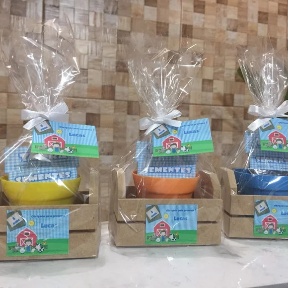 Kit Jardinagem Com Caixote Fazendinha