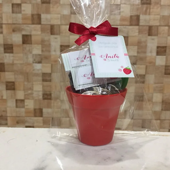 Kit Jardinagem Morango