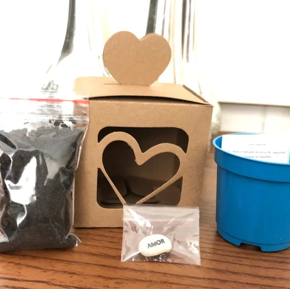 Kit Jardinagem Semente Mágica