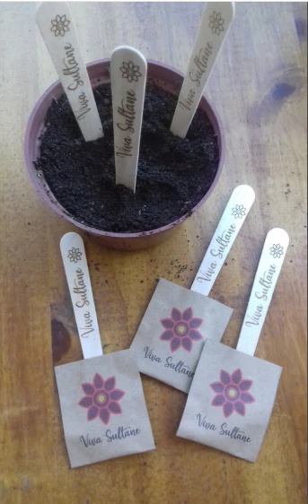 Lembrancinha Ecológica Colher Plantável