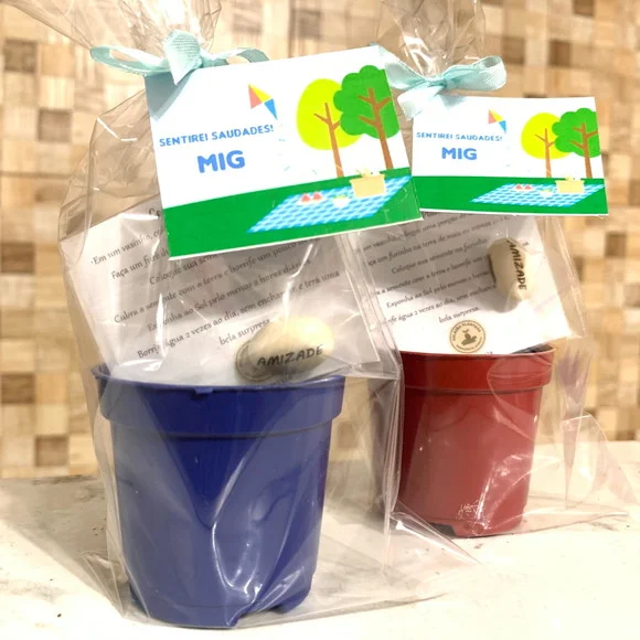 Lembrancinha Picnic com Semente Personalizada