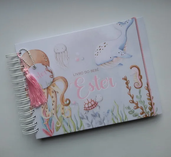 Livro do Bebê Grande(19x25cm) + Acessórios - Mod 01