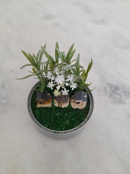 Mini Jardim Decorado com Casinha e Plantas Miniaturas
