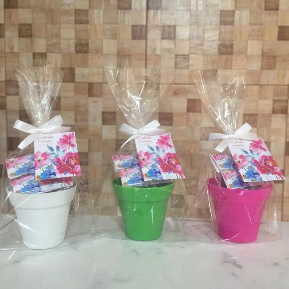 Kit Jardim Plantio Flores