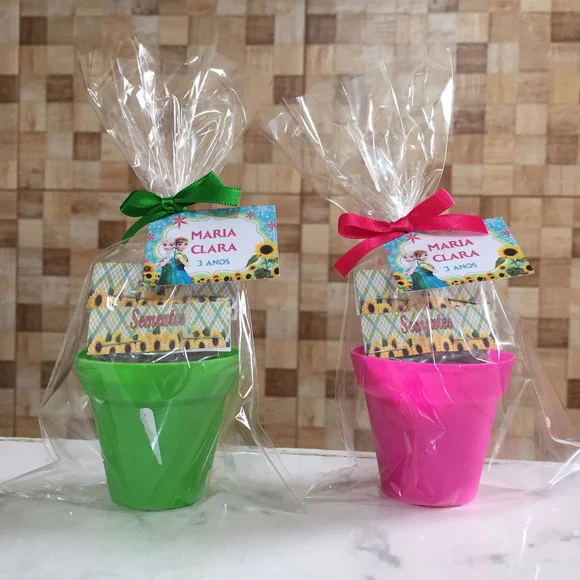 Lembrancinha personalizada Kit Ecológico plantio - Frozen