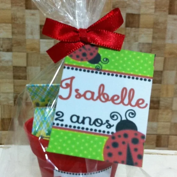 Lembrancinha personalizada Kit jardinagem plantio Tema Joaninha