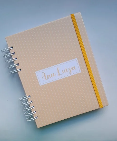 Planner Fitness Mod 2 Feminino + Divisórias (escolha a Capa)