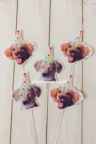 Topper para Docinhos Cachorro com Foto e Chapéu Bolinha 20un