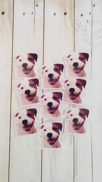 Topper para Docinhos Cachorro com Foto