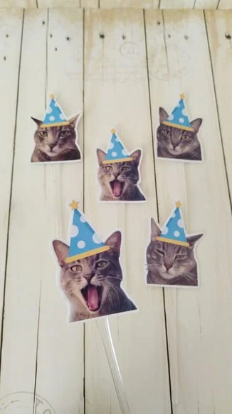 Topper para Docinhos Pet Gato Bento com Foto 30 Unid