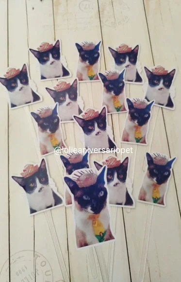 Topper para Docinhos Pet Gato Junino com Foto 30 Unid